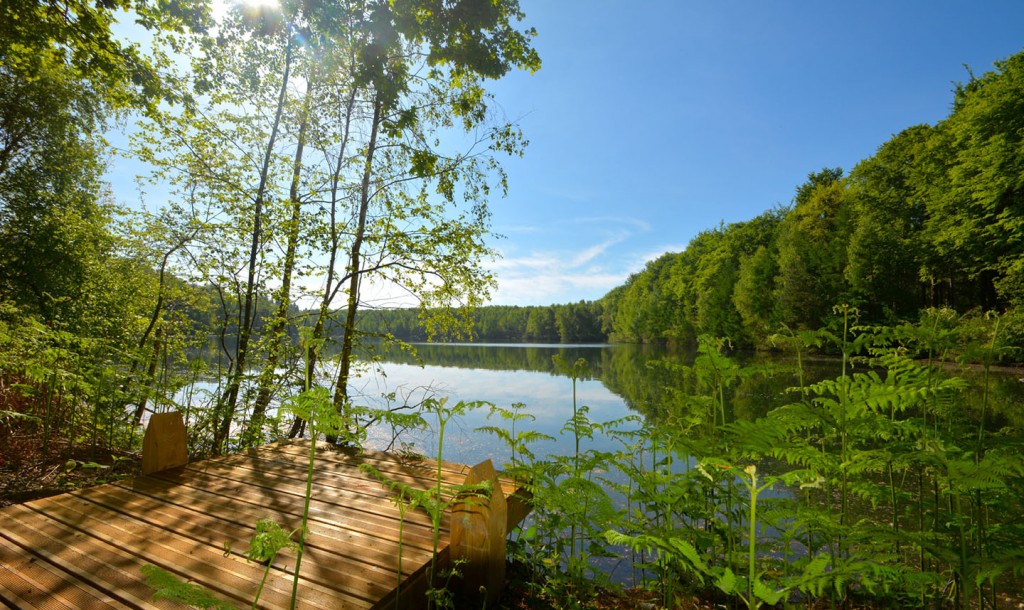 Naturnah und nachhaltig: Chartered Investment unterstützt Your-Nature-Eco Resort in Belgien